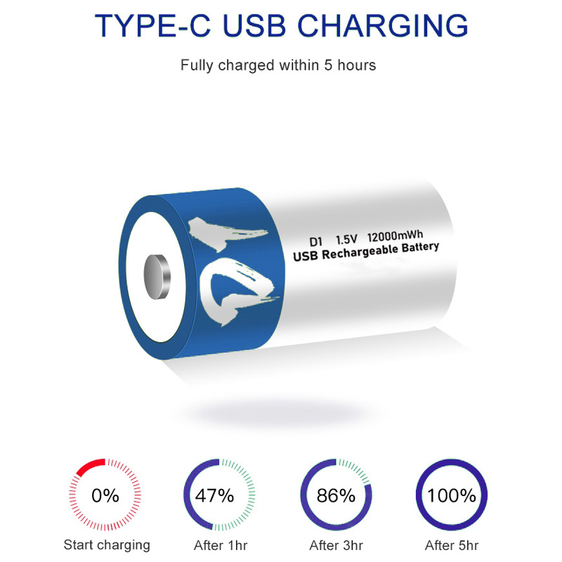 d cell battery rechargeable