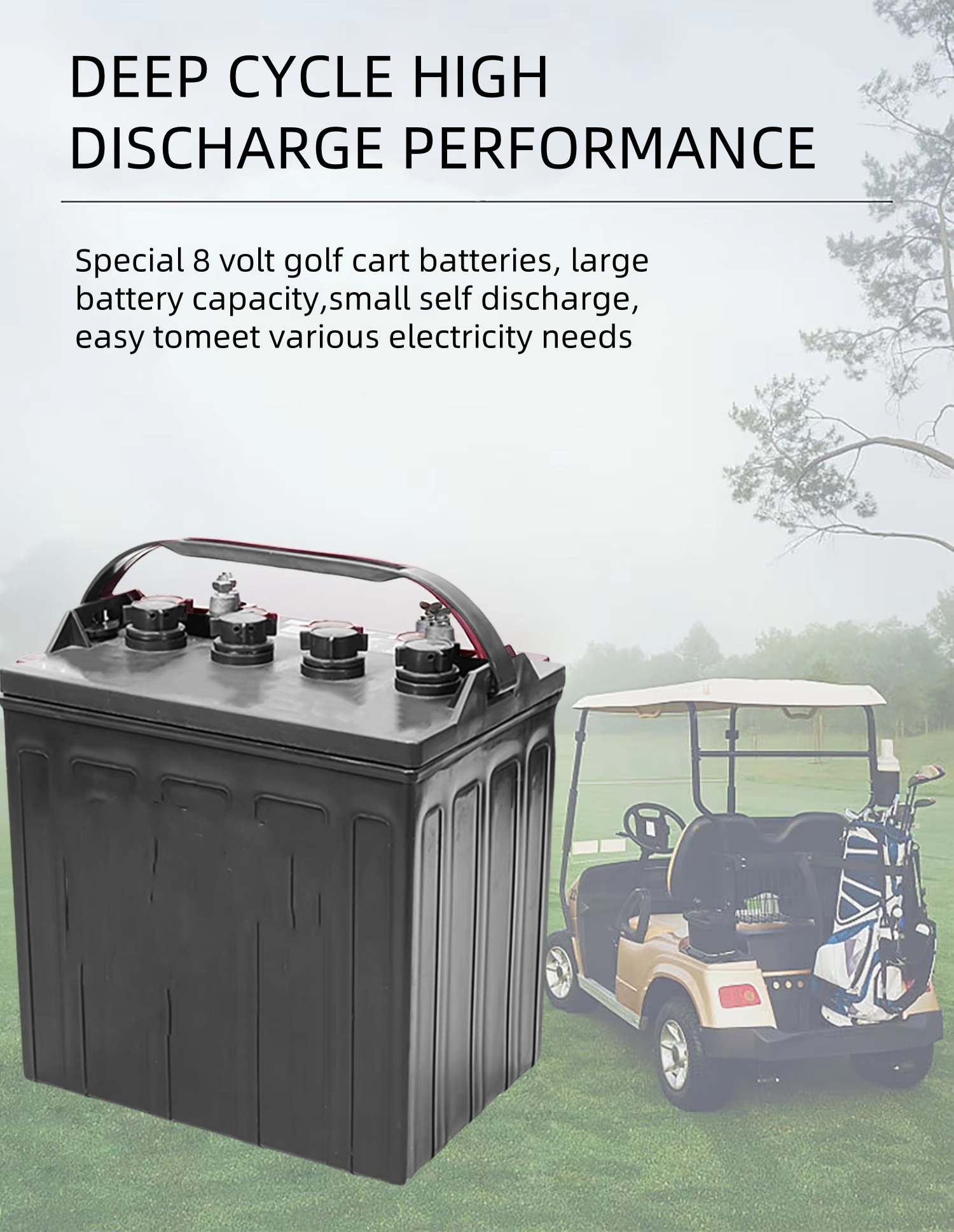 golf cart batteries 8 volt